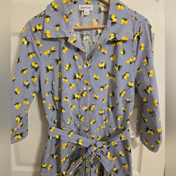 Chloe + Rene Blue Striped Dress with Lemon Pattern Belted Waist Size 1X NWT - Picture 4 of 9